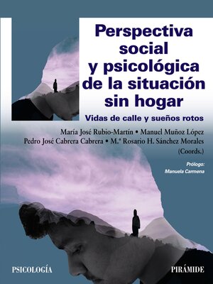 cover image of Perspectiva social y psicológica de la situación sin hogar